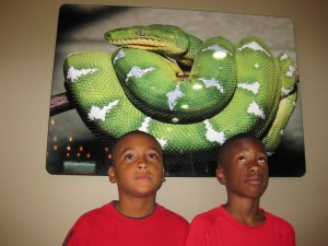 IMG_1660